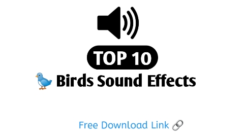 Top 10 Birds Sound Effects Download | Free & No Copyright